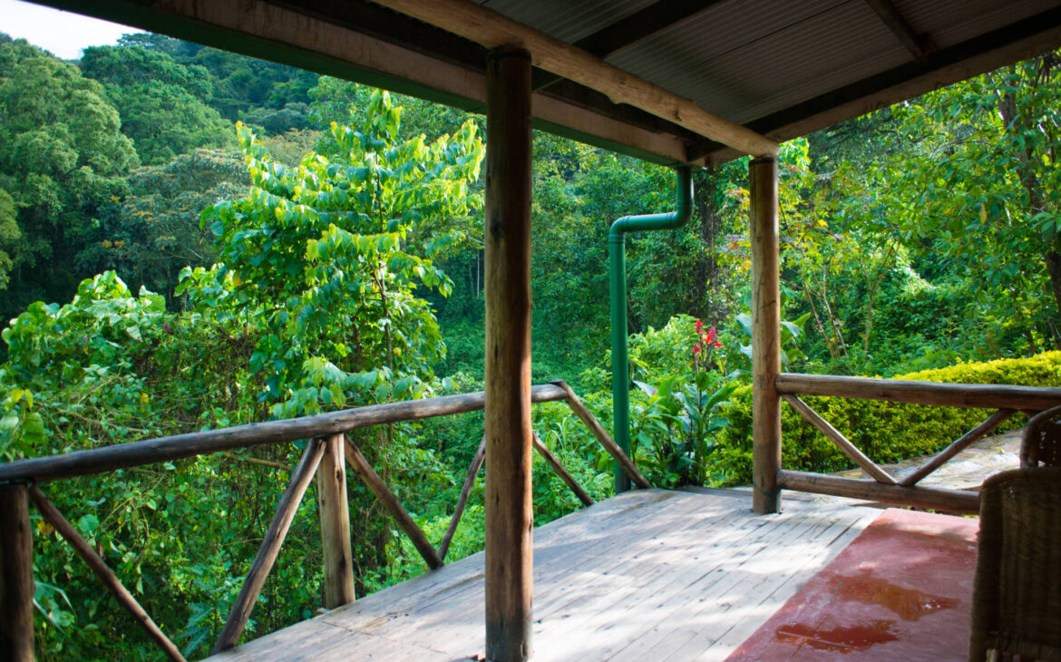 Gorilla Valley Lodge